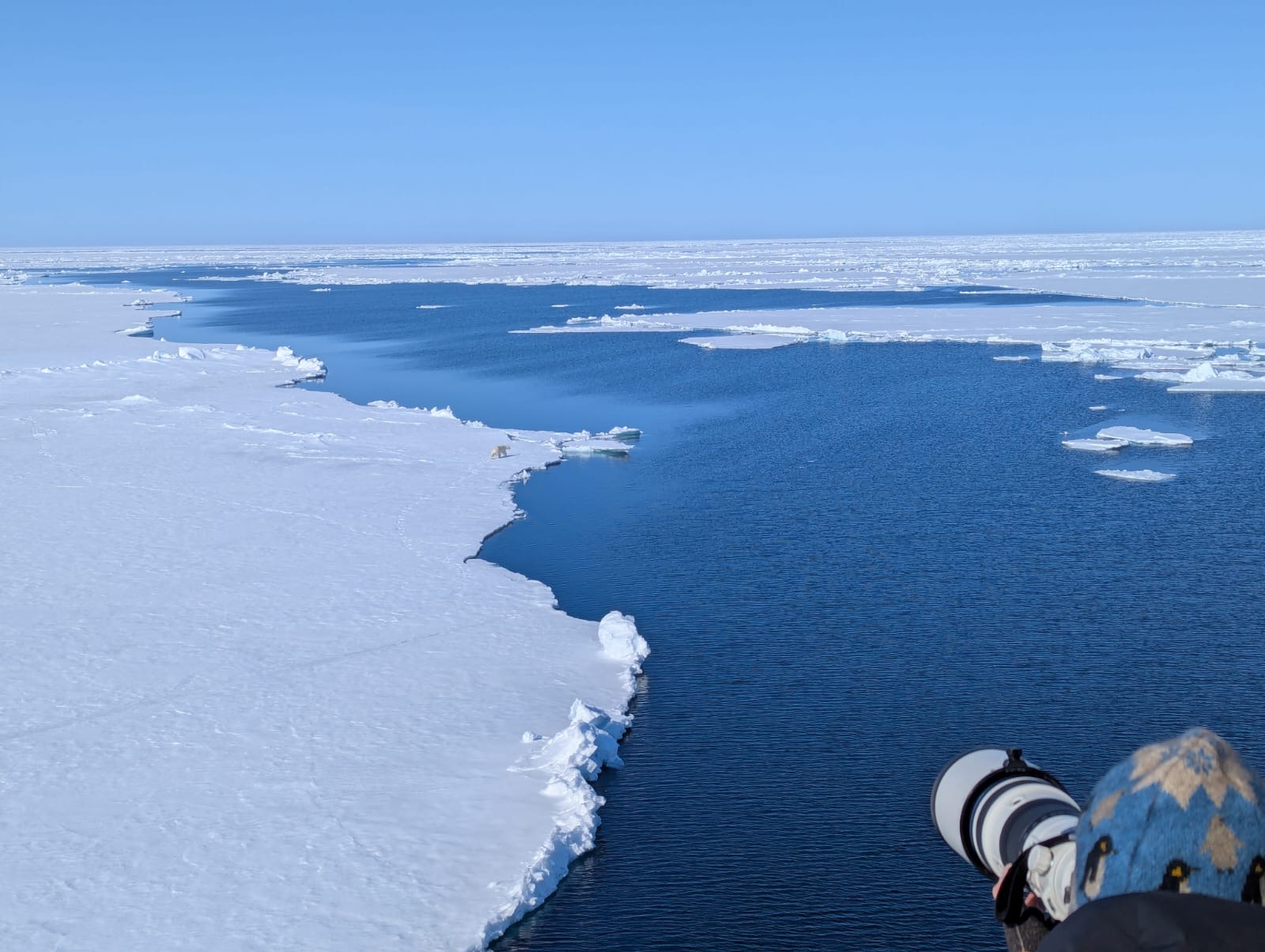 Photographing a polar bear on the pack ice, Svalbard