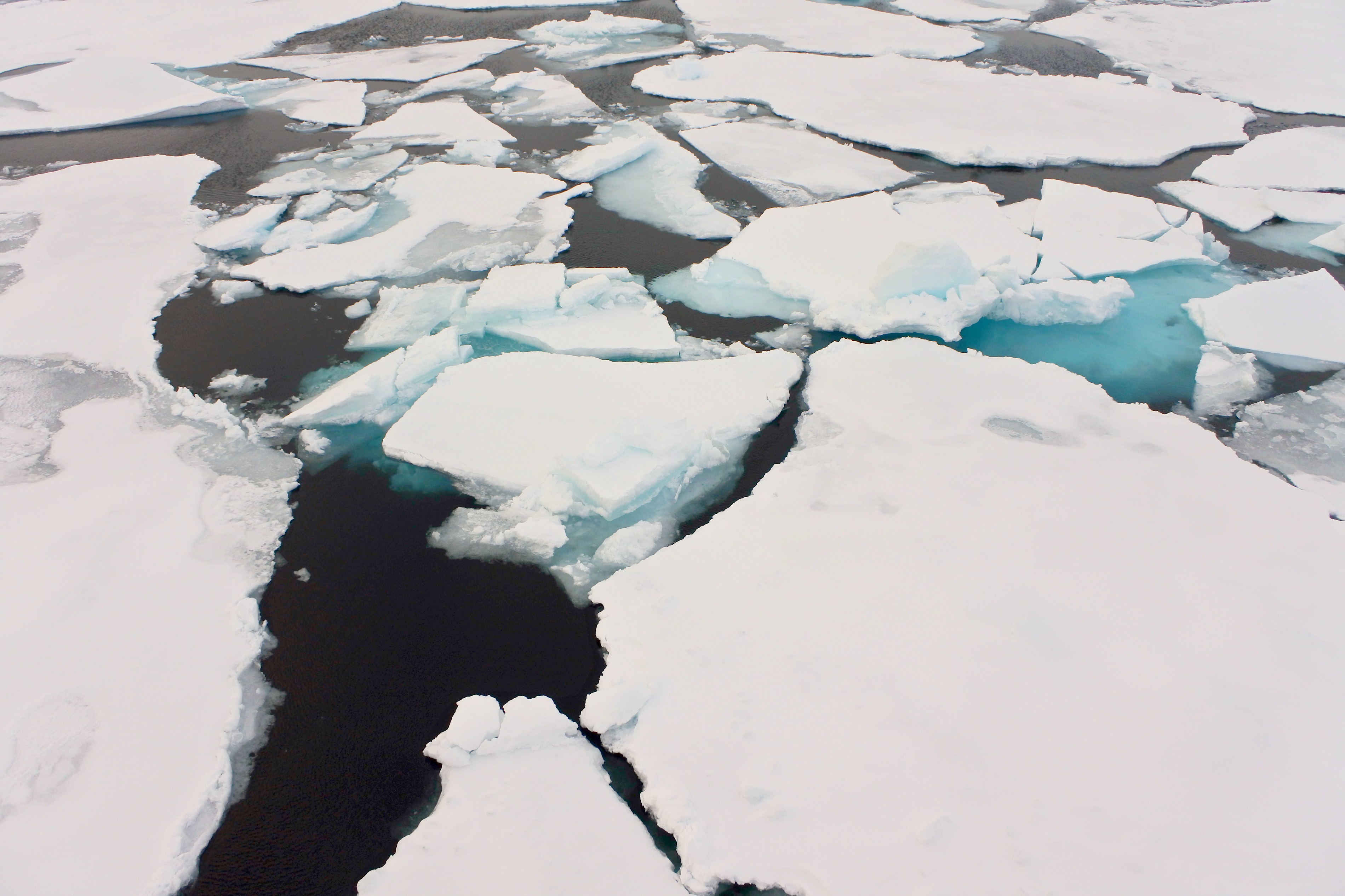 In-Depth Svalbard Cruises