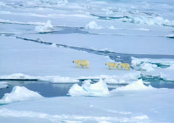 Cruises & expeditions to the North Pole