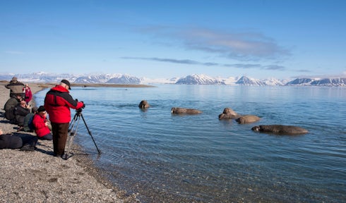 Photography in the Arctic