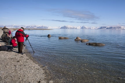 Svalbard Wildlife