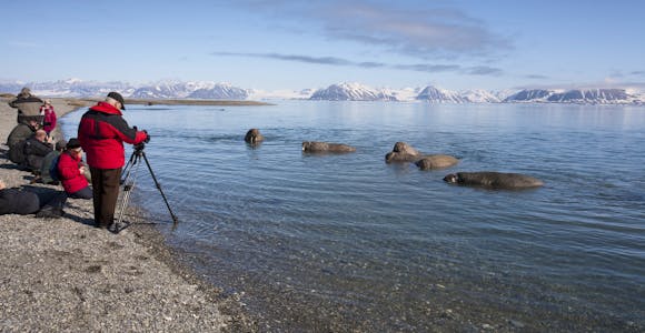 Arctic Photography Tours