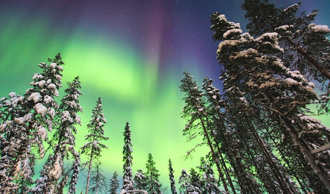Northern Lights Photographic Adventure