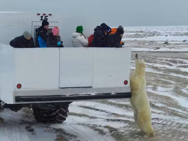Meet the locals