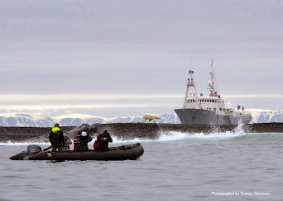 Polar Bear Tours