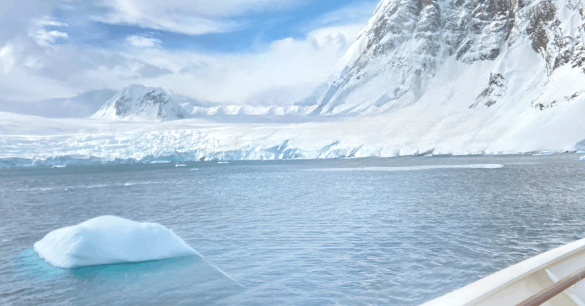 Swoop Says background image