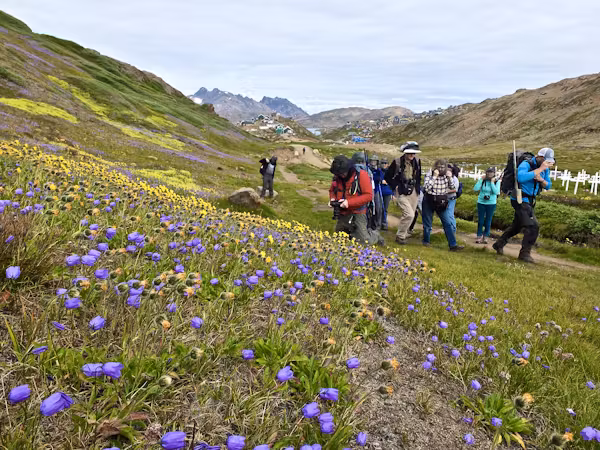 The flora of East Greenland in summer