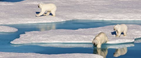 Northwest Passage Revealed (Westbound)