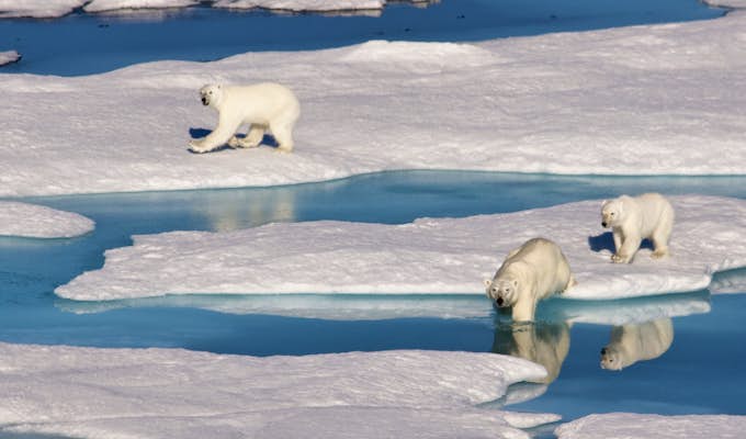 Northwest Passage Revealed (Westbound)