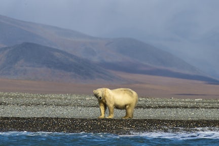 How to get to the Arctic