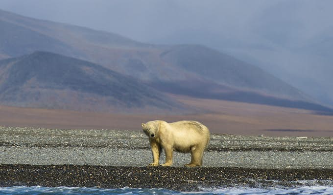 Terra Incognita: The Northeast Passage