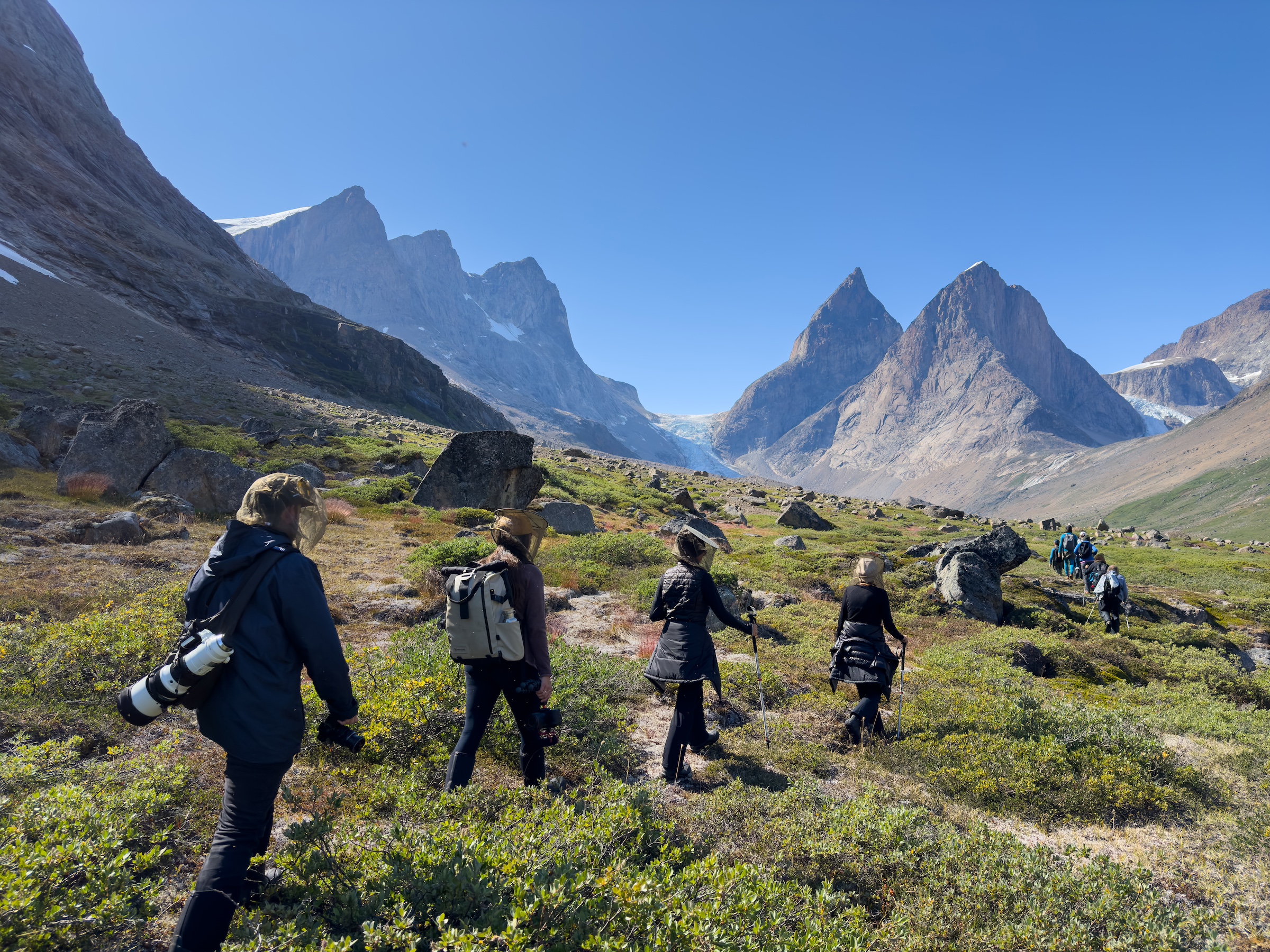 Guests on an Arctic cruise hike at Skjoldungen Fjord