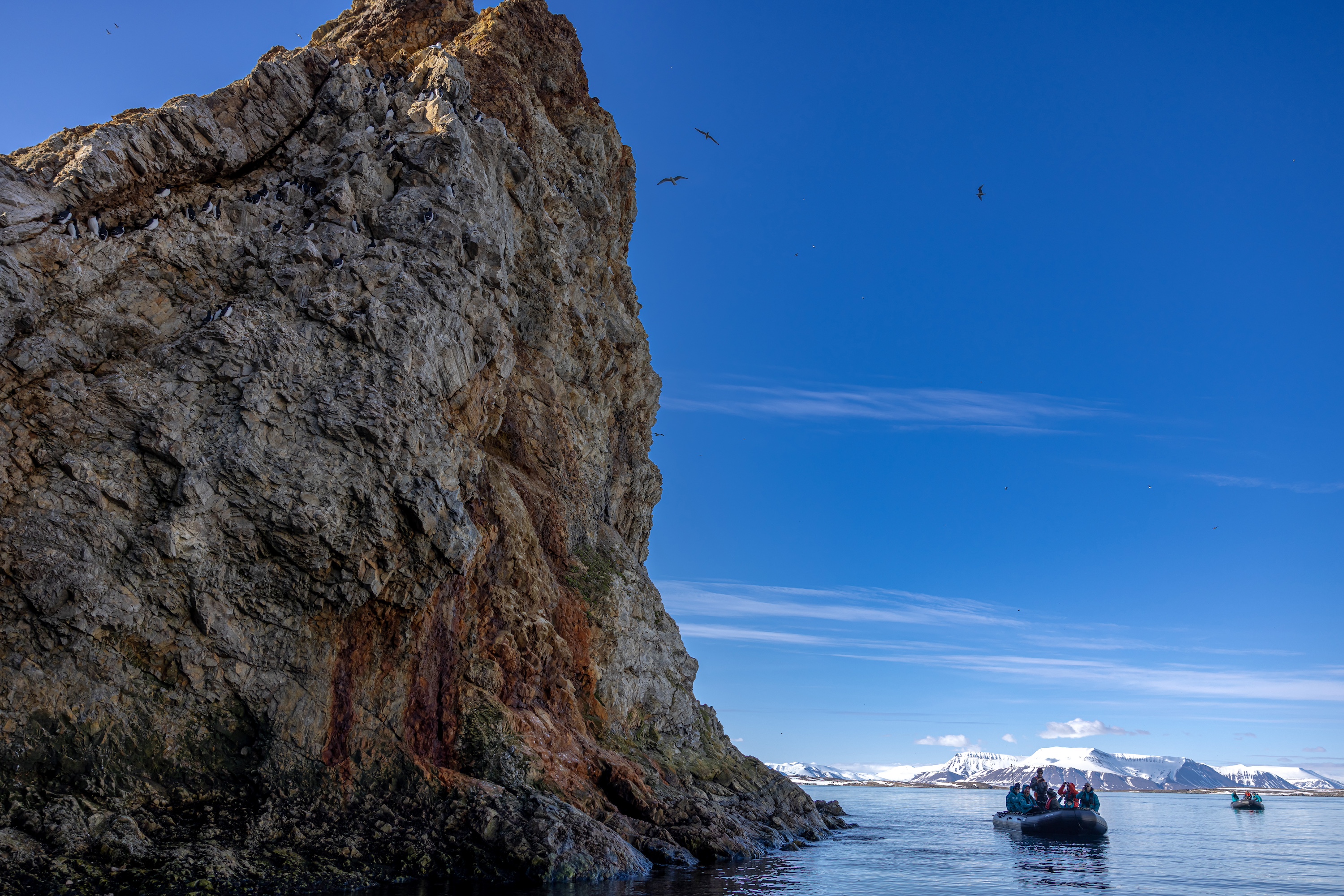 The sheer bird-filled cliffs of Svalbard