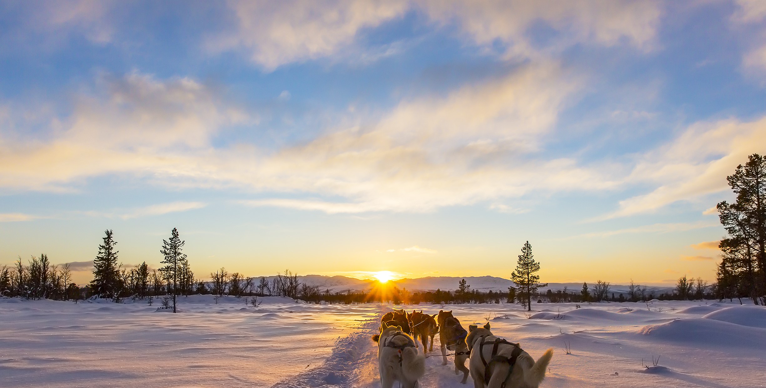 Chasing the Northern Lights in Churchill
