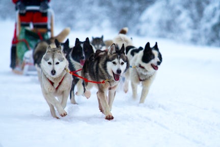 A guide to Arctic travel