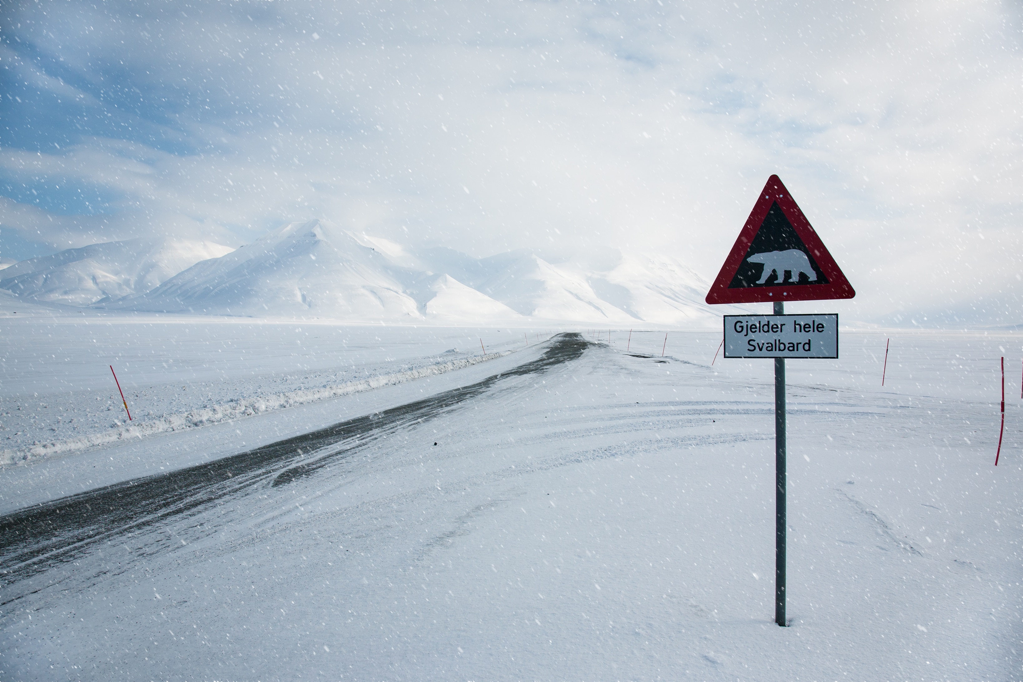 Arctic Photography Tours