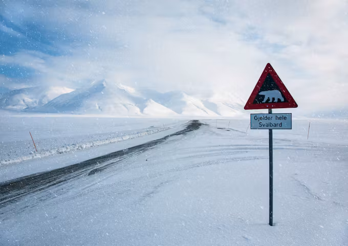 Arctic Photography Tours