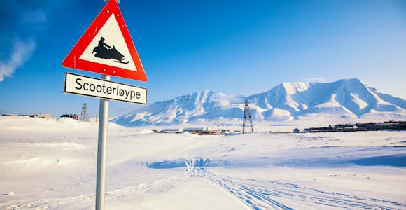 Arctic Activities & Adventures