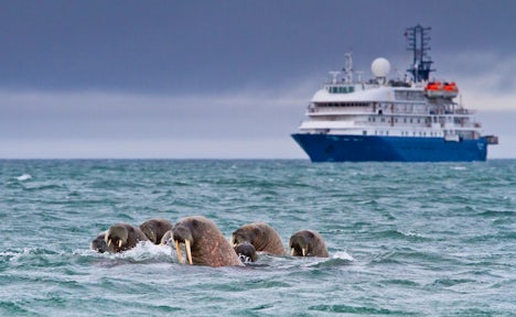 walrus ship