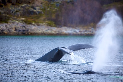 Payments & documents