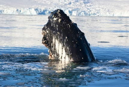 A guide to Arctic travel