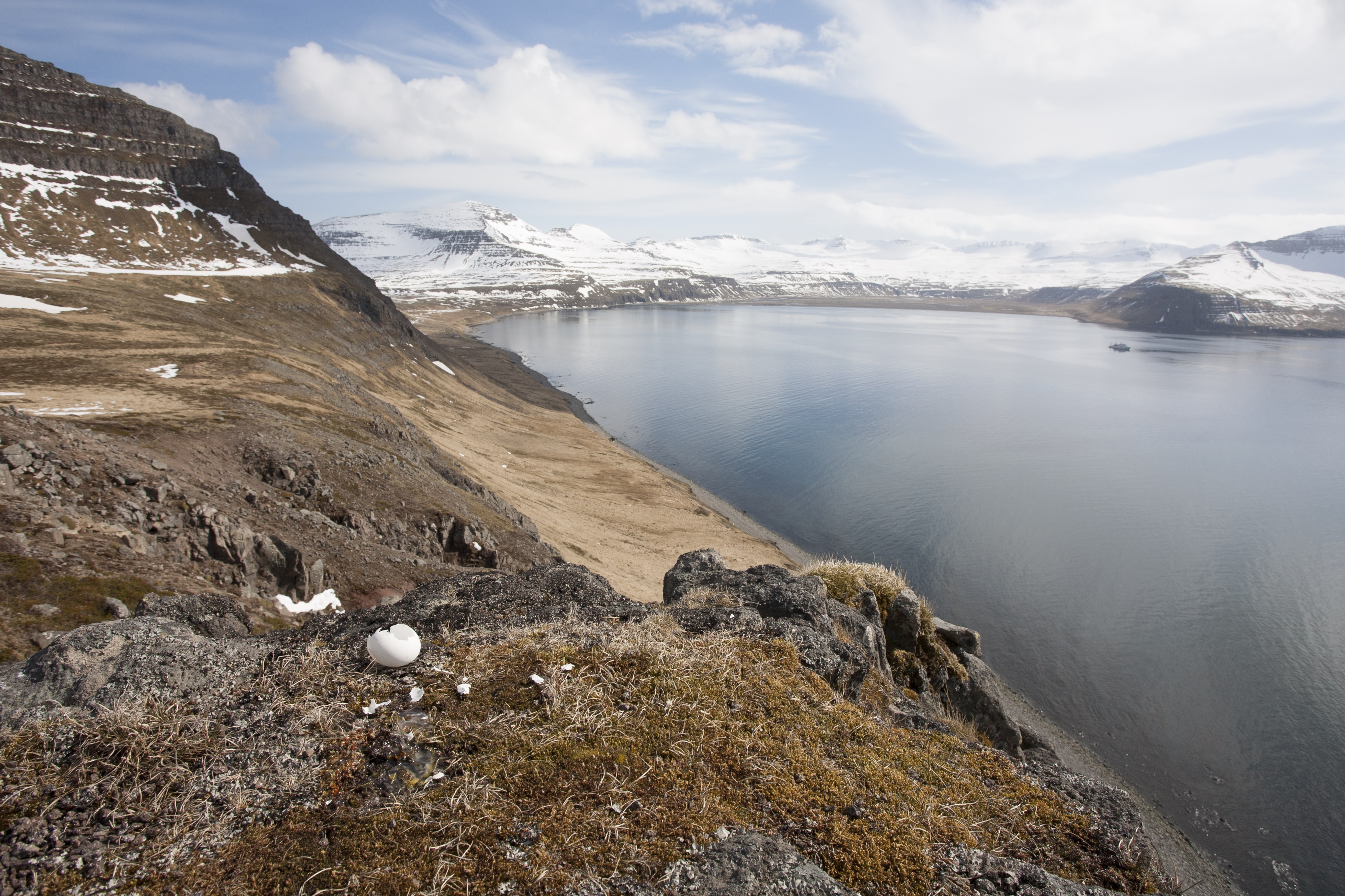 Iceland Expedition Cruises