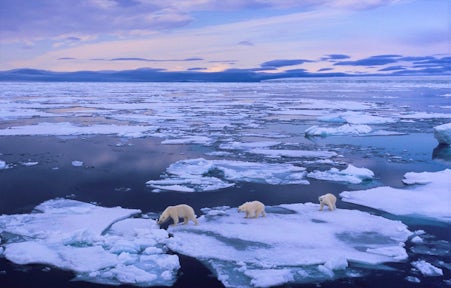 Payments & documents