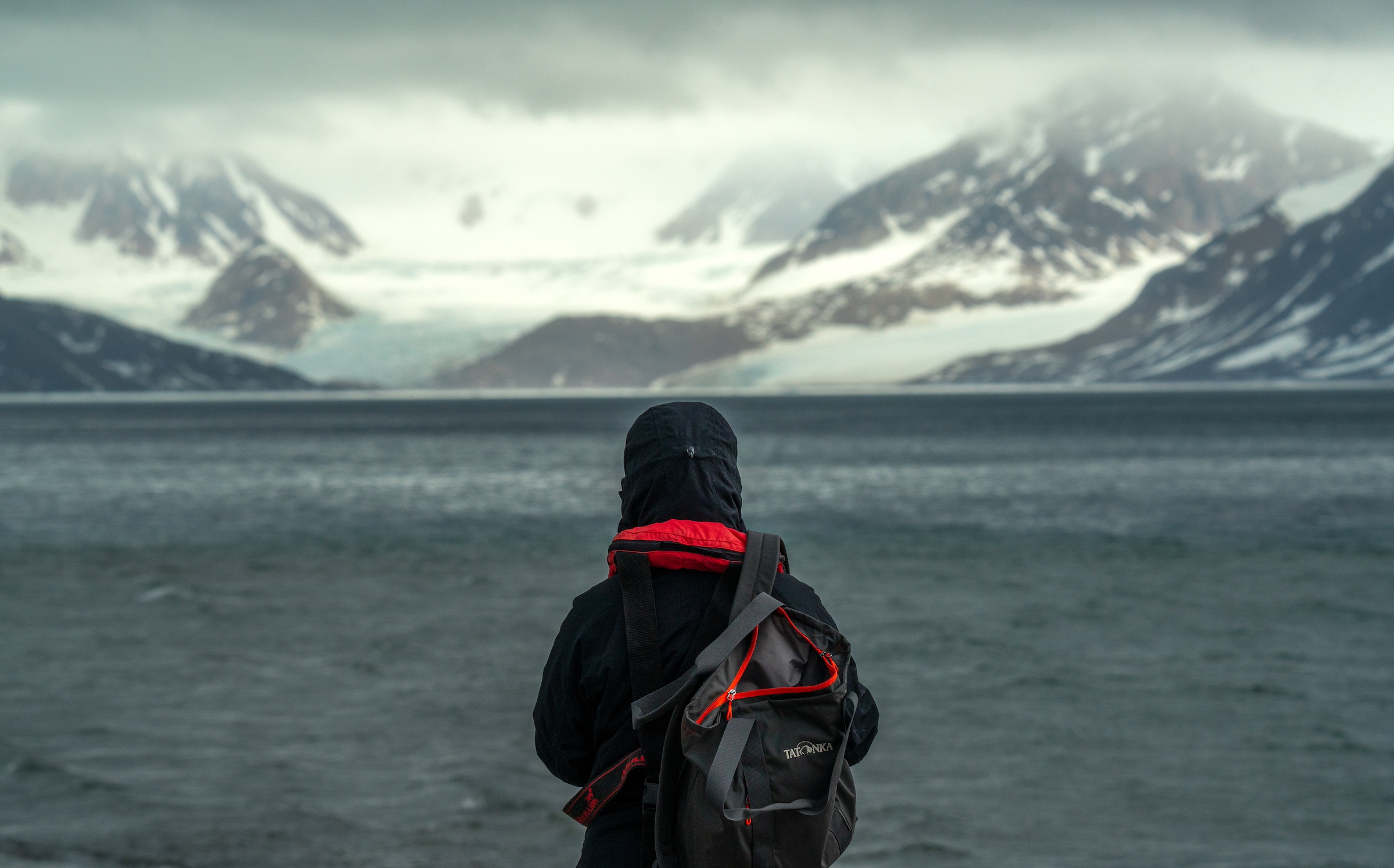 A person stands with their back to the camera and soaks up Svalbard's scenery